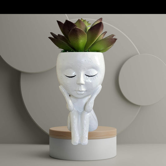 Faux Succulent Arrangement - Full Body Planter - White Unisex