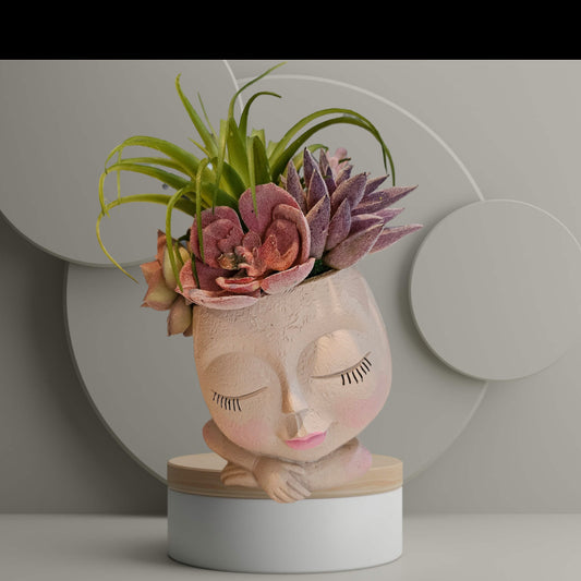 Faux Succulent Arrangement - Face Planter - Small Cream Female